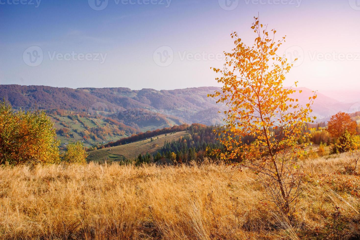 paisagem cênica de outono foto