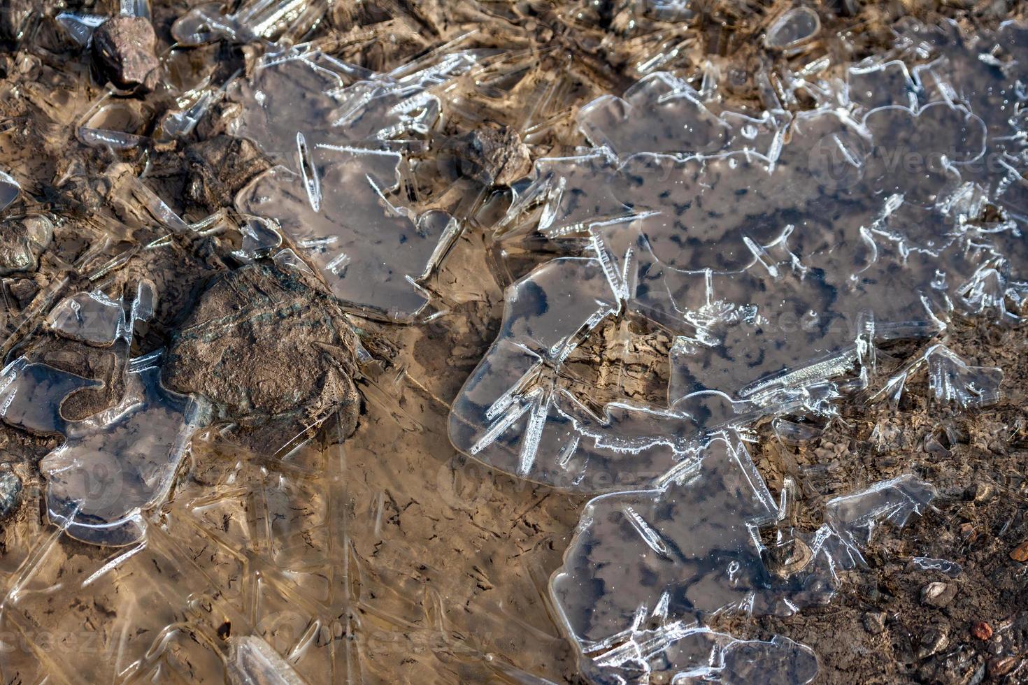 gelo quebrado cobrindo uma poça em pântanos de elmley foto