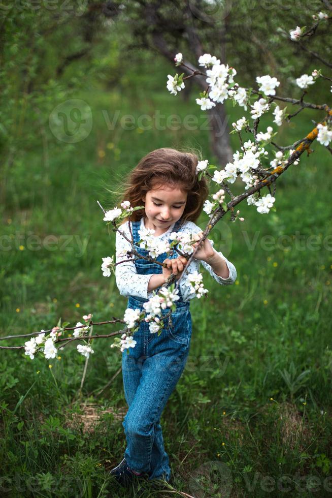 uma menina bonitinha de 5 anos em um pomar de maçãs brancas florescendo na primavera. primavera, pomar, floração, alergia, fragrância primaveril, ternura, cuidado com a natureza. retrato foto