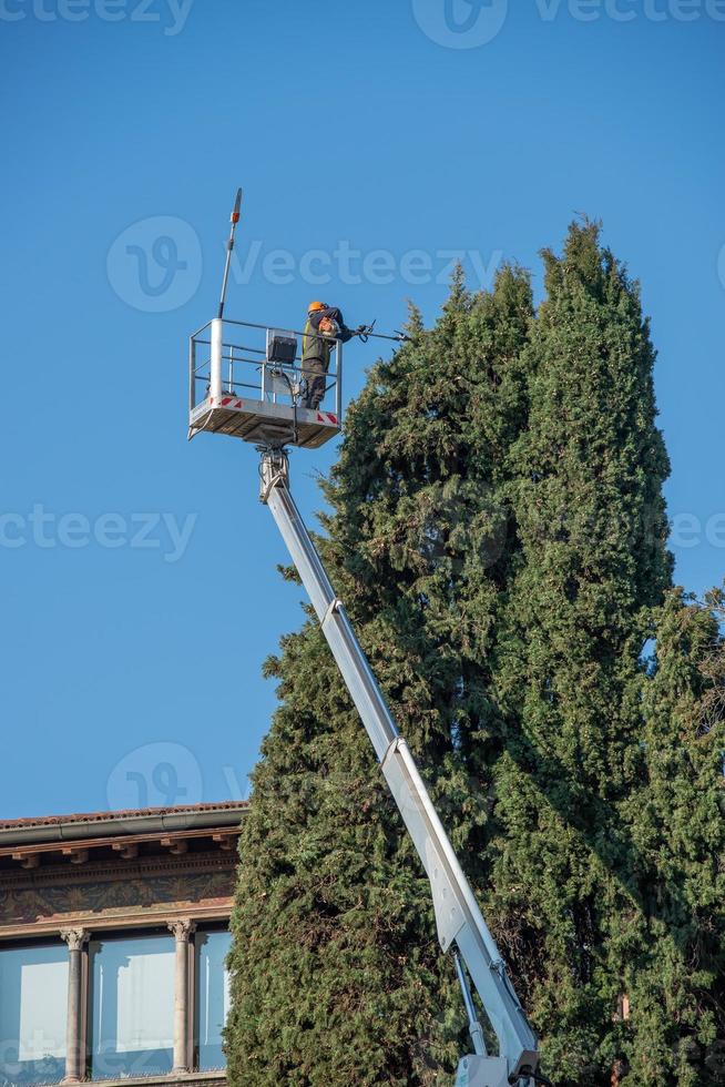 jardineiro poda de árvore na plataforma móvel foto