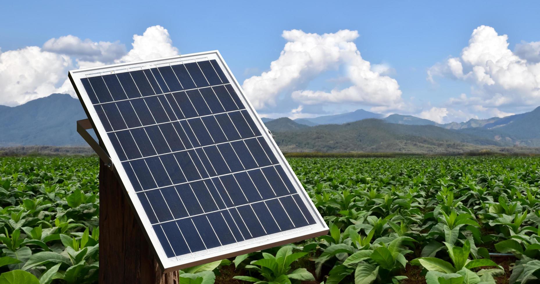 painel fotovoltaico, nova tecnologia para armazenar e usar a energia da natureza com a vida humana, energia sustentável e conceito de amigo ambiental foto