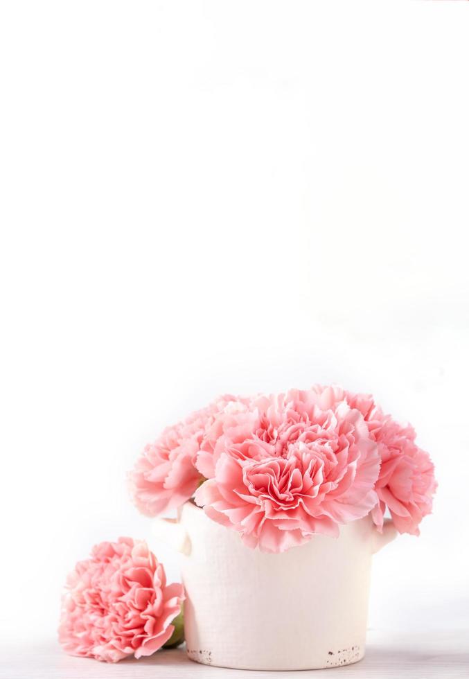 lindos cravos rosa bebê florescendo em um vaso branco isolado em fundo brilhante, dia das mães cumprimentando a mãe ideias fotografia conceitual, close-up, copie o espaço, mock up foto