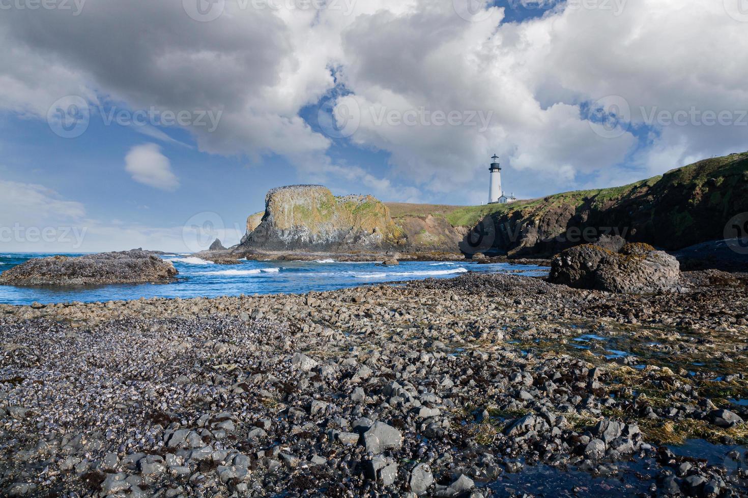 farol de cabeça de yaquina na costa do pacífico do oregon. foto