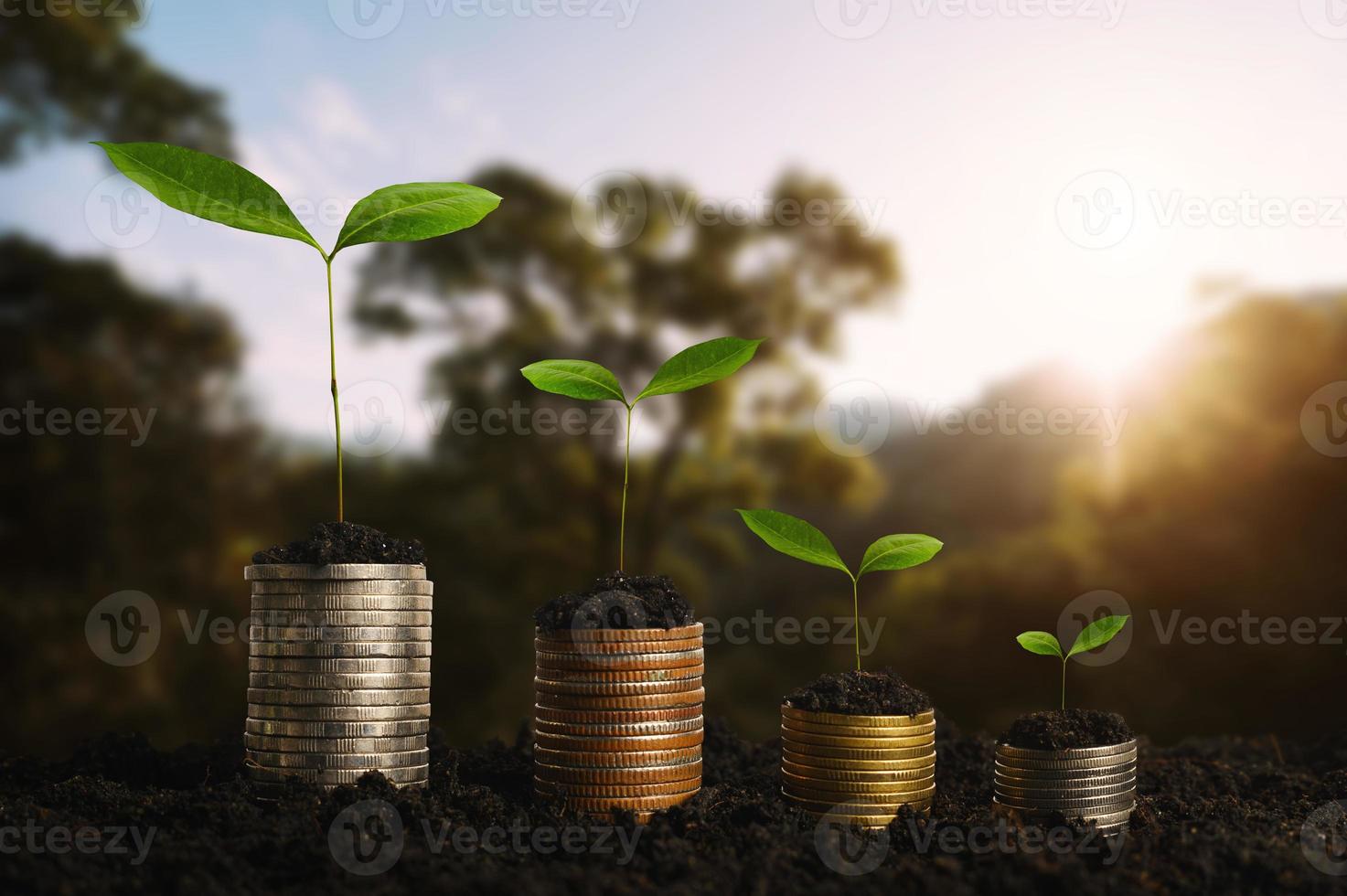 plantar passo crescente com pilha de moedas na sujeira e sol na luz da manhã da natureza. conceito economizando dinheiro. foto
