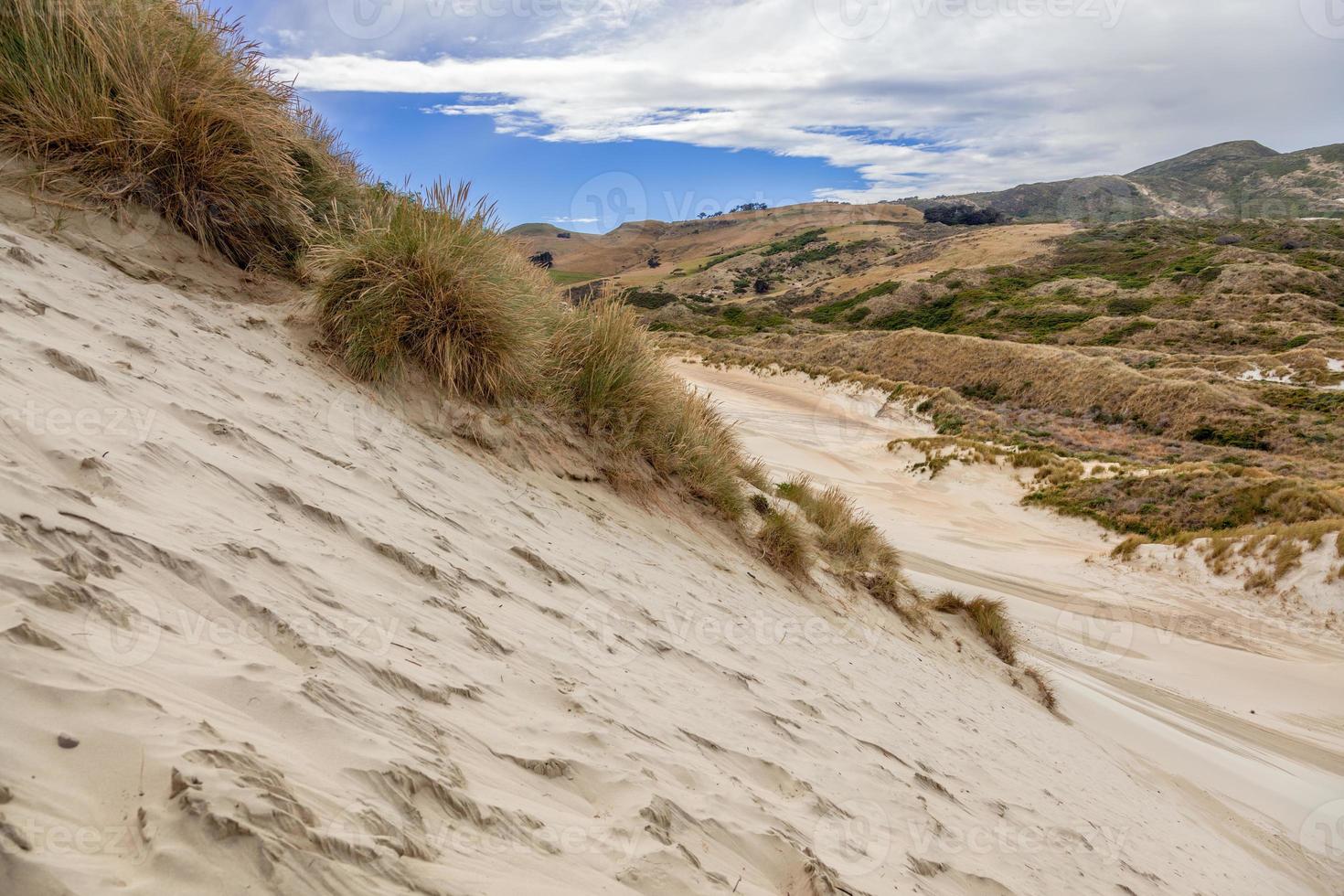 dunas de areia em sandfly bay ilha sul nova zelândia foto