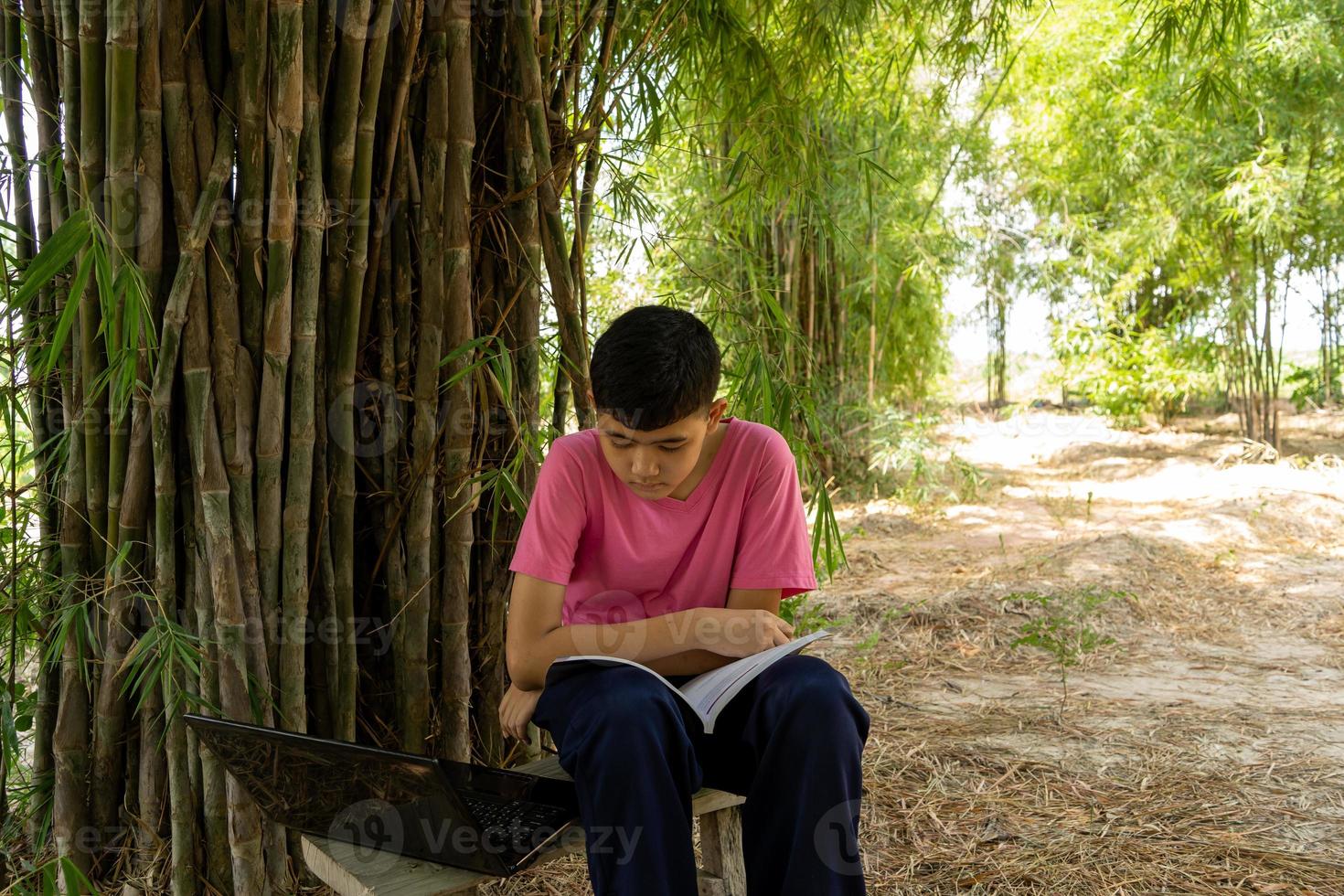 um menino se senta em uma cadeira de madeira estudando online com um laptop em uma árvore de bambu no campo foto