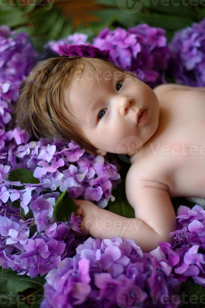 retrato de uma menina bonitinha. bebê encontra-se nas cores da hortênsia roxa foto