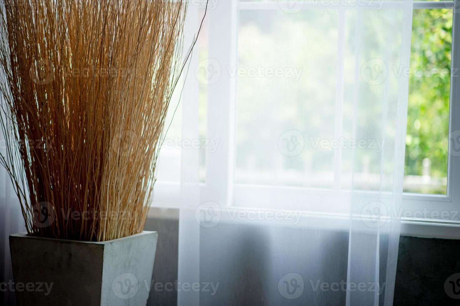 cortinas e janelas coloridas no conceito de casa e jardim de manhã foto