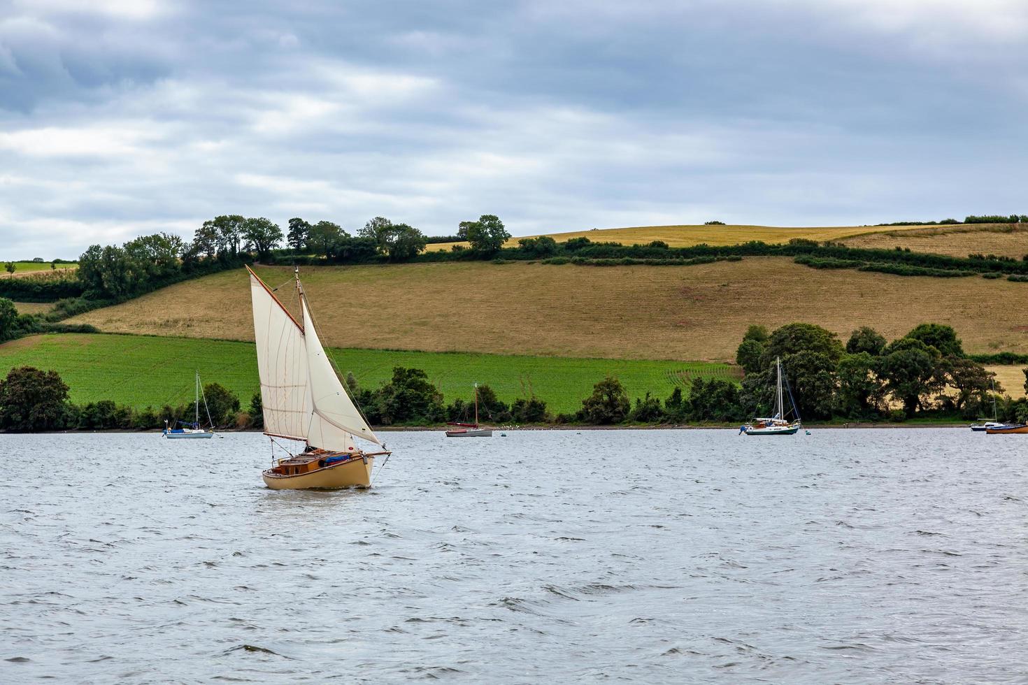 totnes, devon, reino unido, 2012. navegando até o rio dart em direção a totnes, devon em 29 de julho de 2012 foto