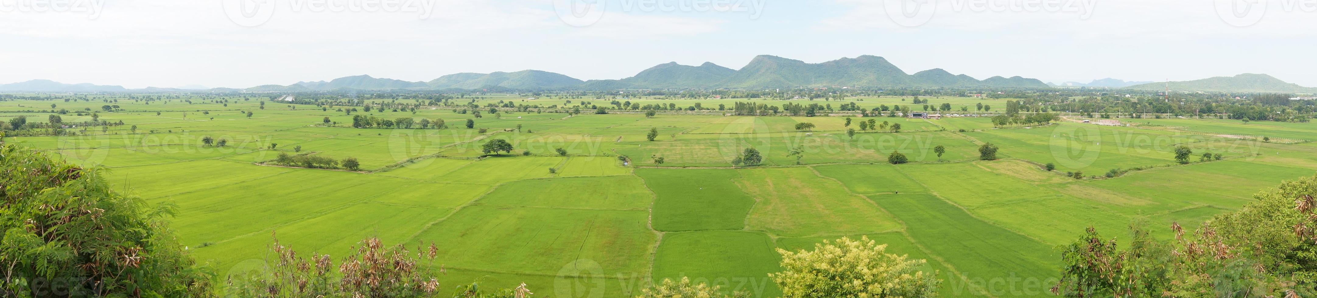 paisagem com campos verdes, campos verdes photo foto