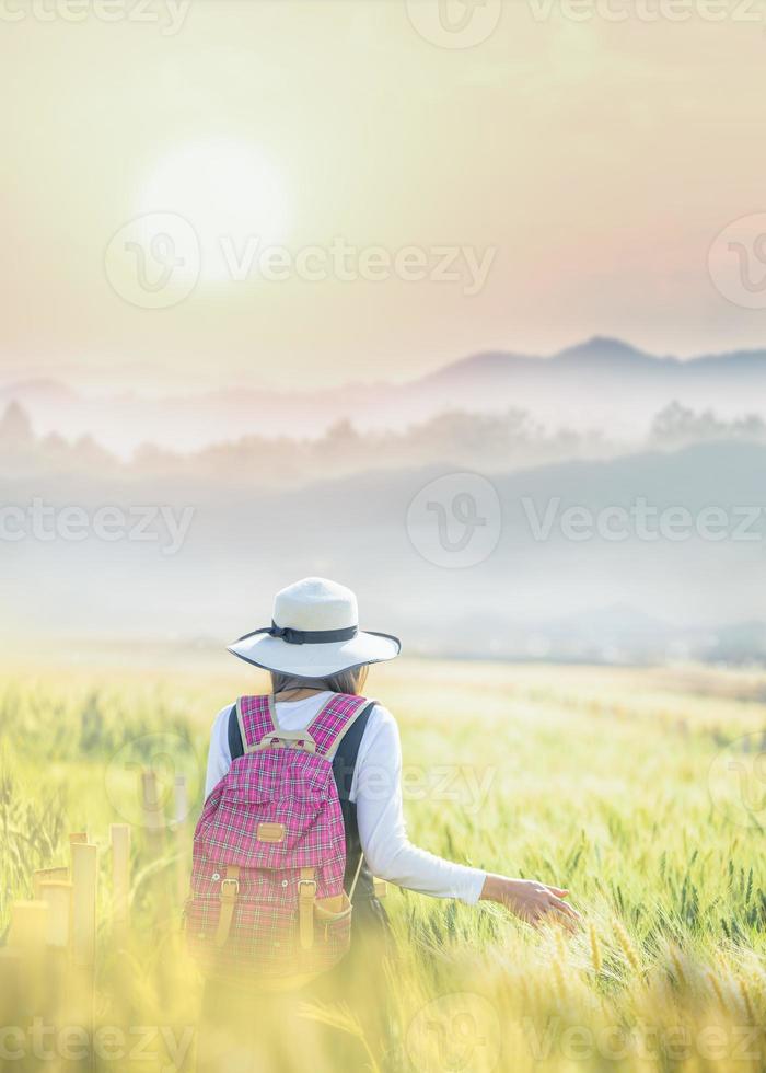 mão de mulher viajante tocando trigo em campo com vista de fundo de montanhas. foto