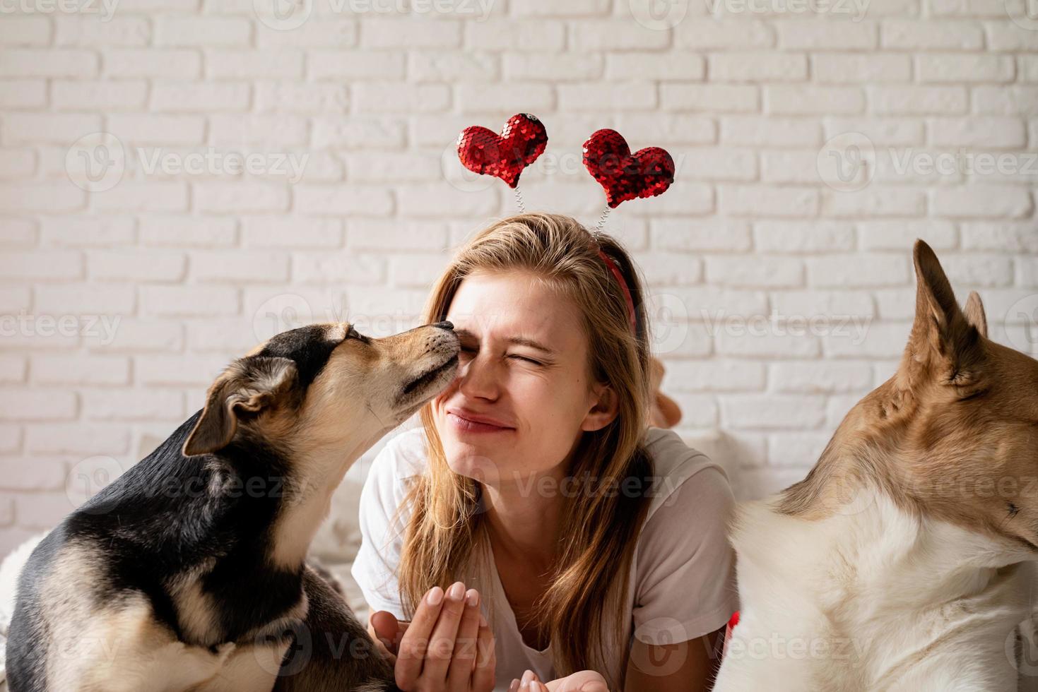 jovem mulher com seu lindo pastor em casa se divertindo e beijando foto