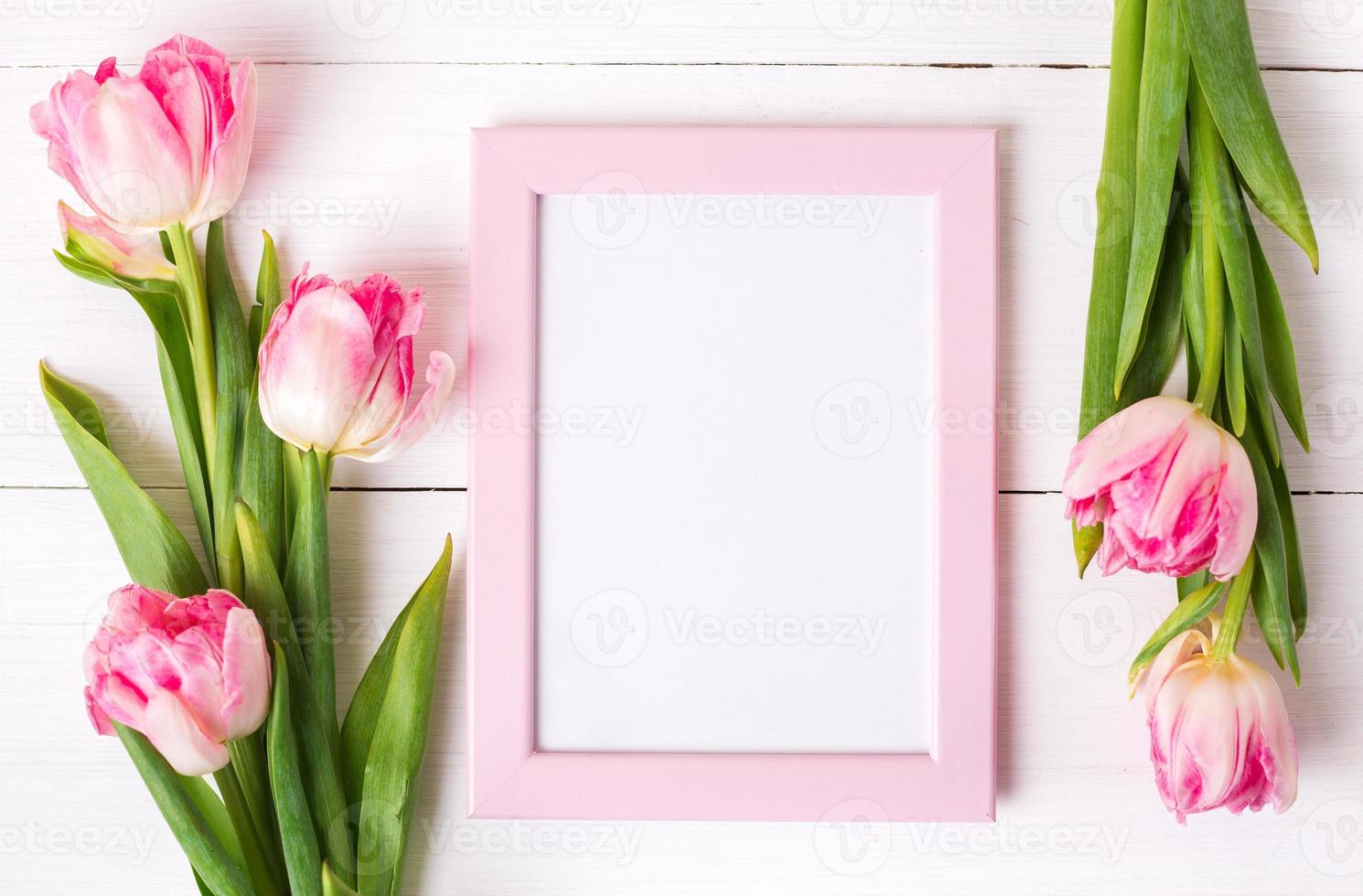 lindas tulipas brancas e rosa, molduras para texto em fundo branco de madeira. foto