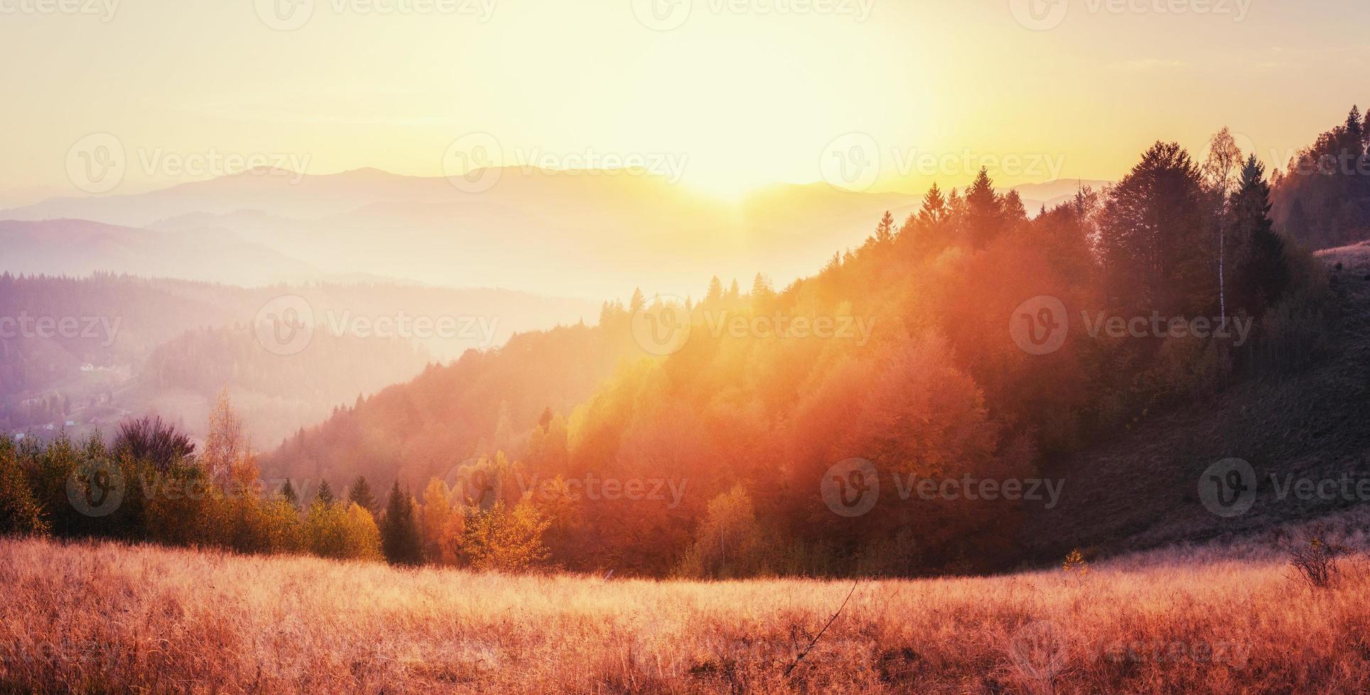 cordilheira nas montanhas dos cárpatos na temporada de outono. foto