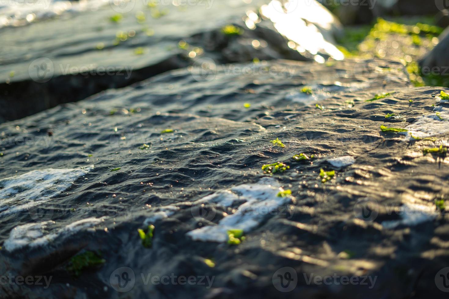 rochas brilhantes e ondas quebrando à beira-mar com brilho do sol e algas marinhas foto