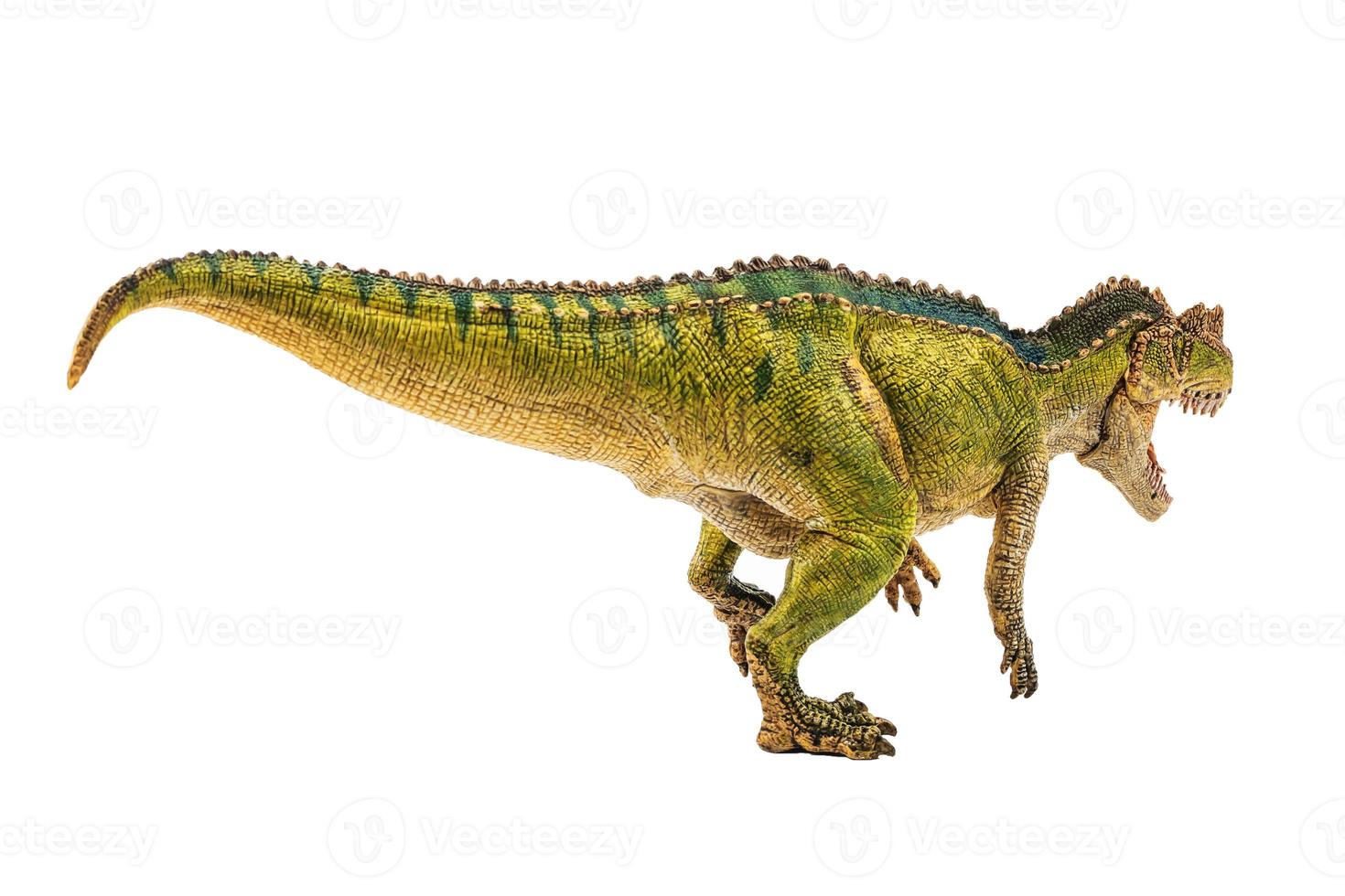 ceratosaurus, dinossauro em fundo branco foto
