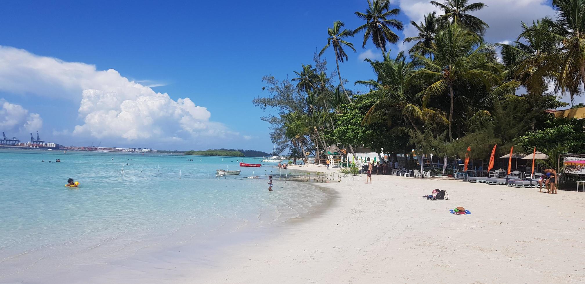paraíso dominicana, mar do caribe, natureza, palmeiras, praia, sol e areia foto