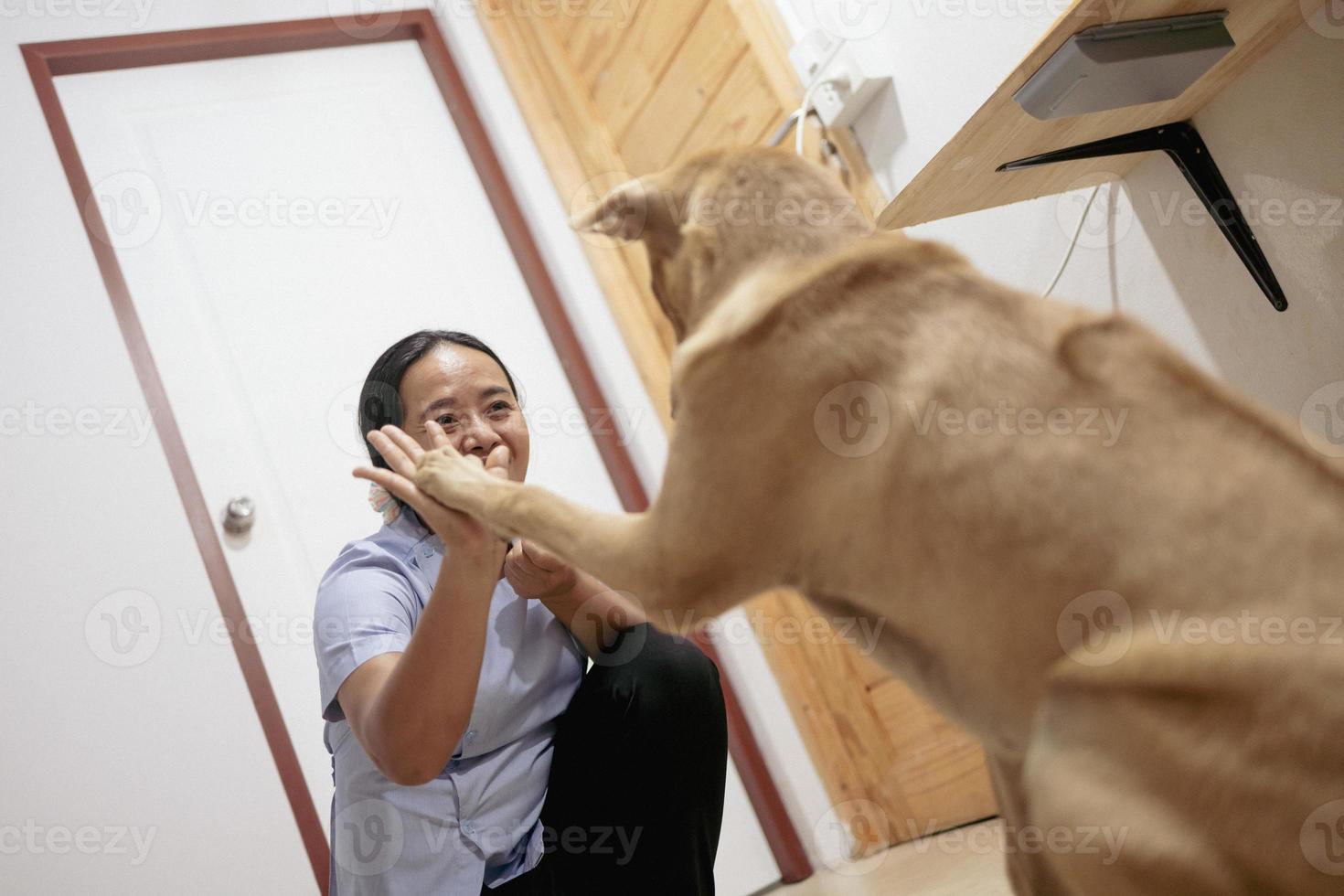 cachorro brinca alegremente com dono asiático dentro de casa. foto