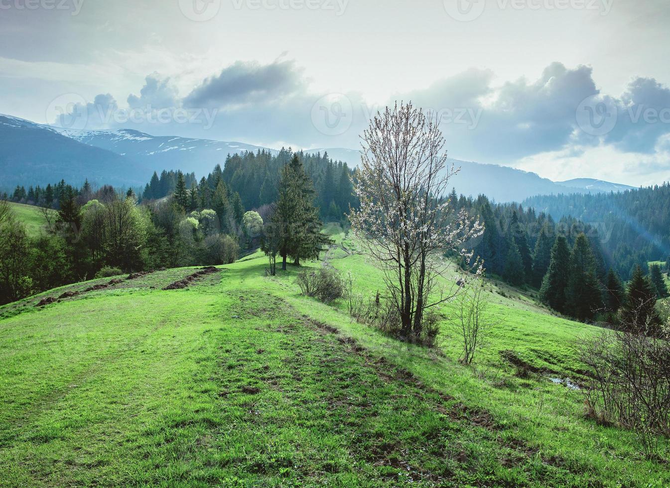 paisagem da colina com palheiros nas grandes montanhas na primavera em dia nublado foto