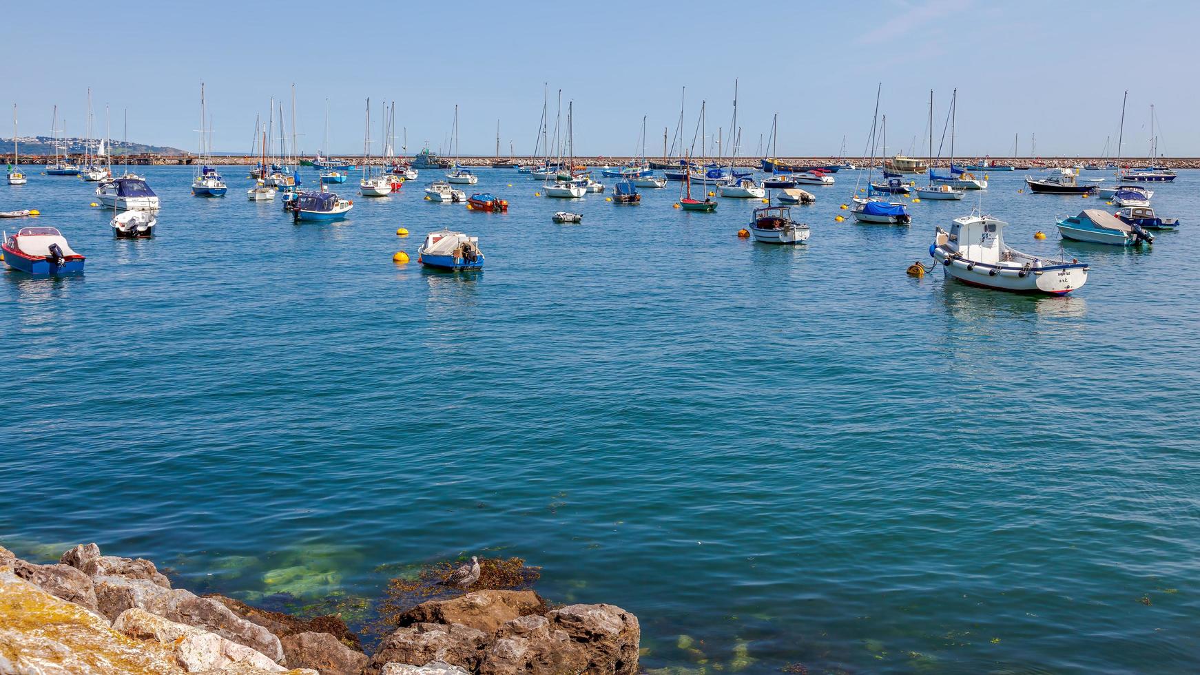 brixham, devon, reino unido, 2012. vista dos barcos em brixham, devon, em 28 de julho de 2012 foto