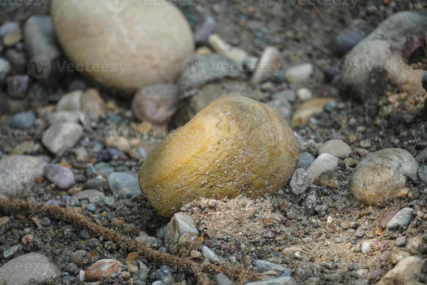 imagem de pedra na floresta com imagens pequenas foto