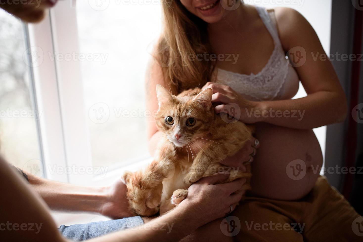 um casal grávido apaixonado está sentado no parapeito da janela e brincando com seu gato. auto-isolamento de uma casa durante a quarentena. foto