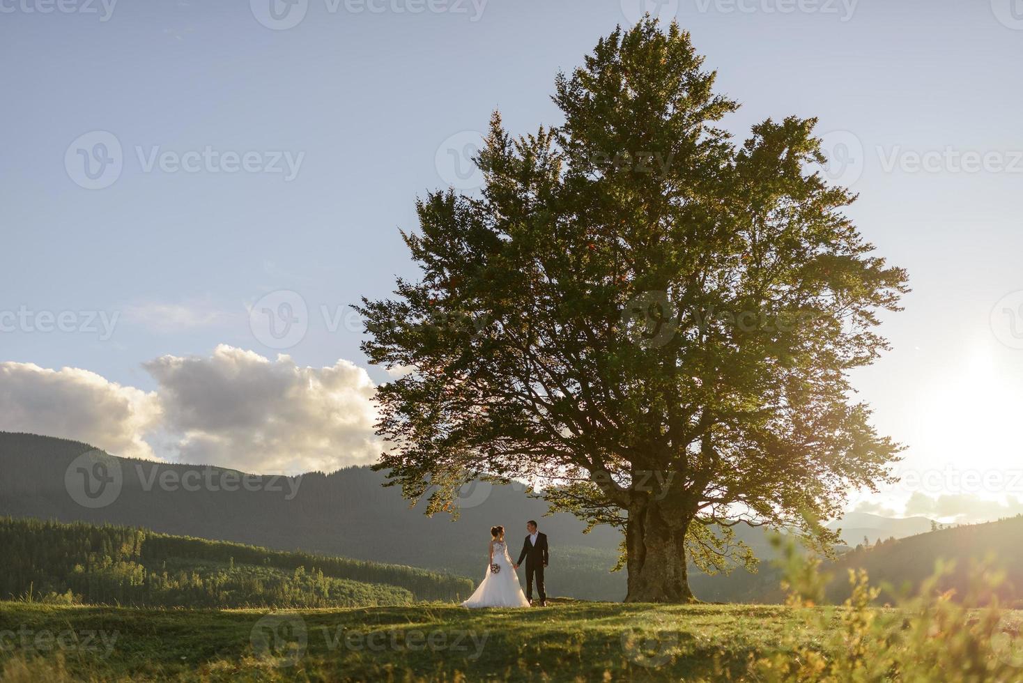 fotografia de casamento nas montanhas. os noivos se abraçam com força. foto