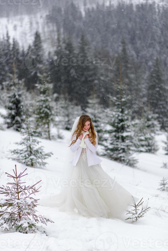 o noivo leva sua noiva pela mão para uma velha faia solitária. casamento de inverno. lugar para um logotipo. foto