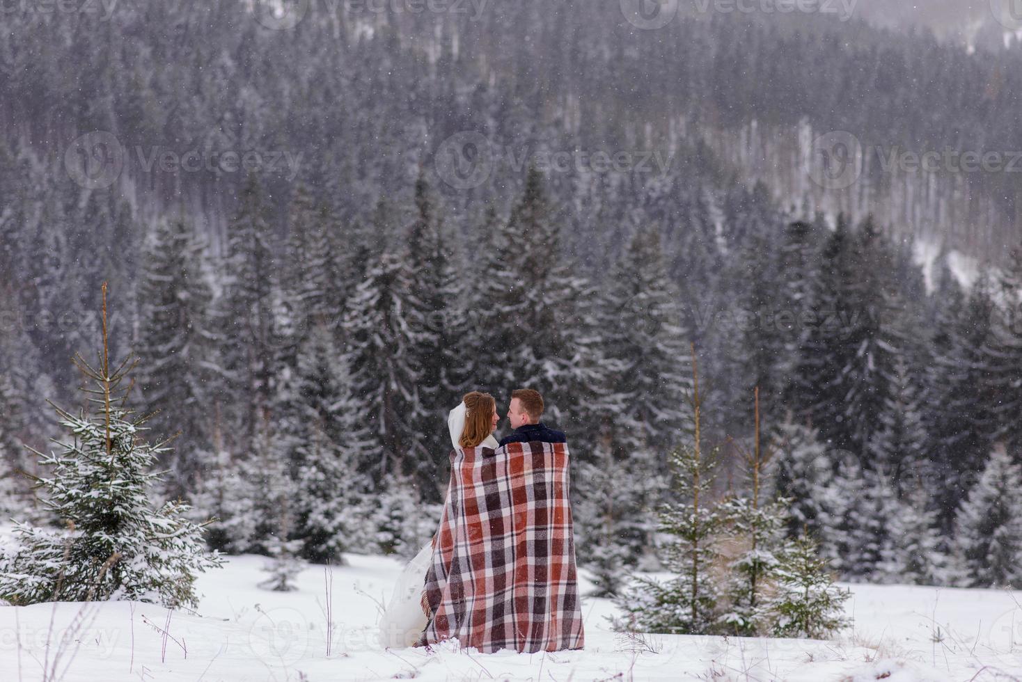 o noivo leva sua noiva pela mão para uma velha faia solitária. casamento de inverno. lugar para um logotipo. foto