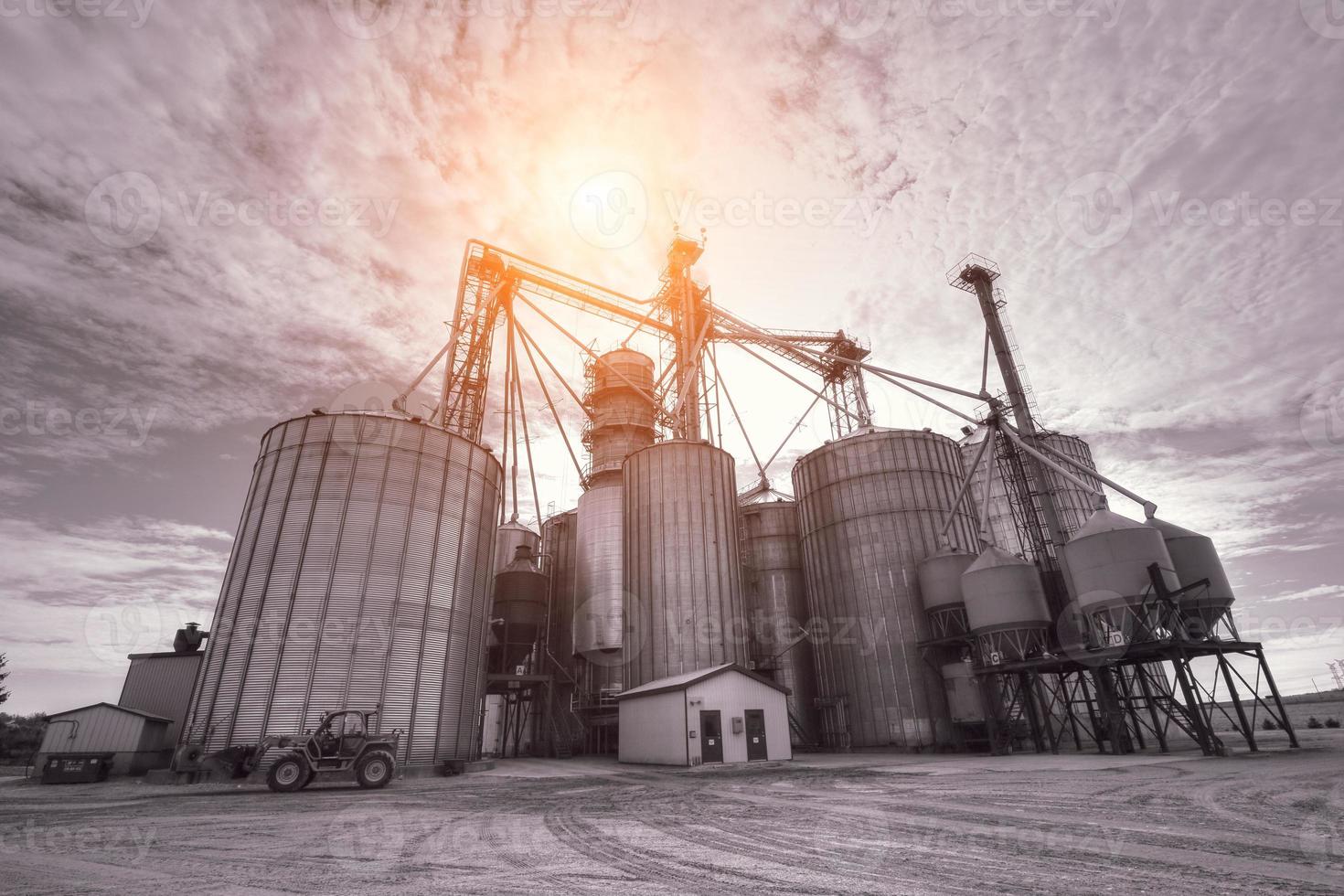 silos agrícolas em ontário, canadá foto