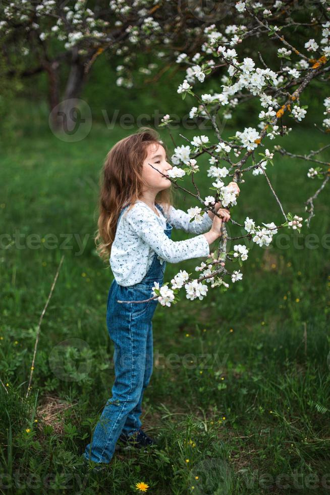 uma menina bonitinha de 5 anos em um pomar de maçãs brancas florescendo na primavera. primavera, pomar, floração, alergia, fragrância primaveril, ternura, cuidado com a natureza. retrato foto