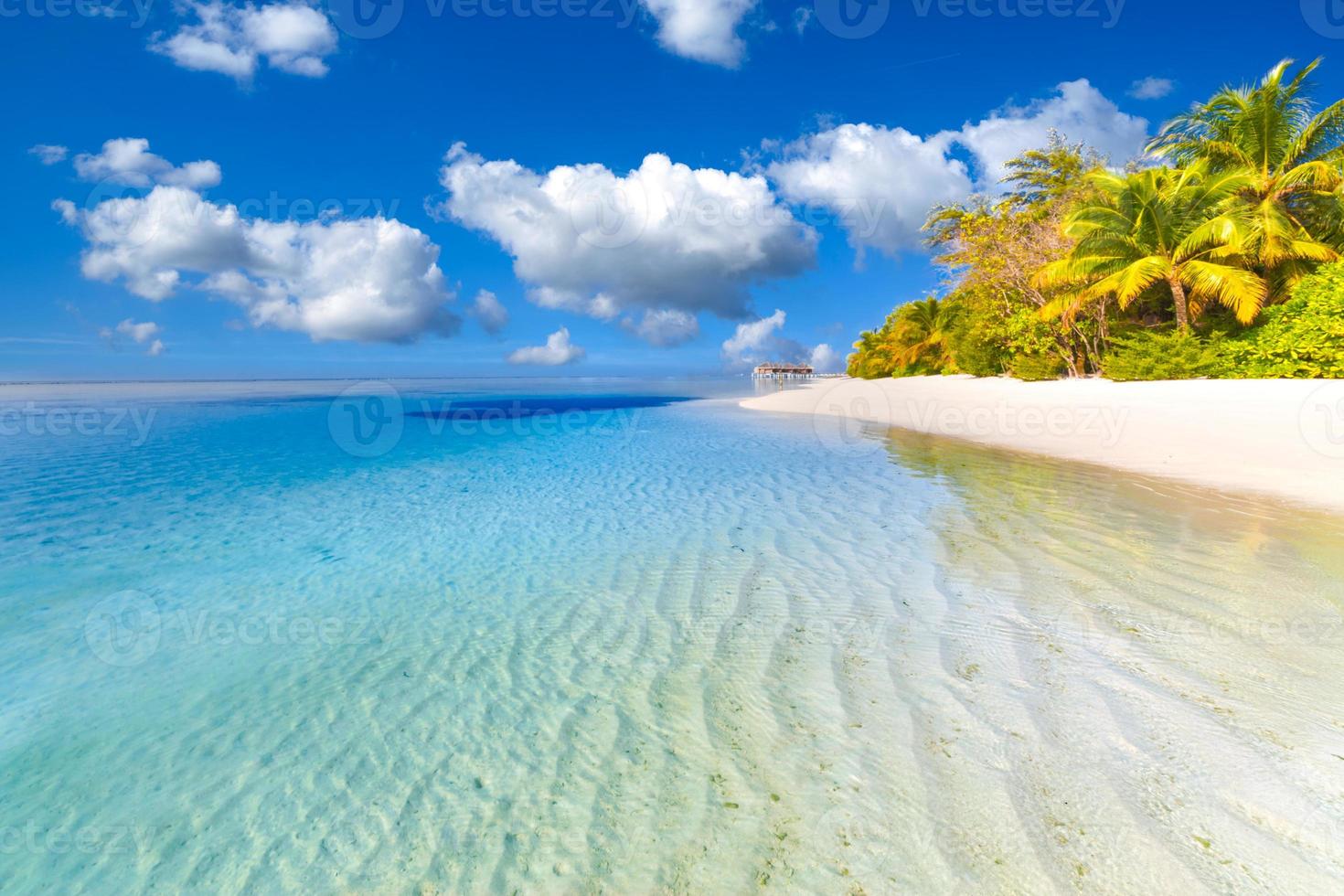 praia de natureza incrível com palmeiras e céu temperamental. conceito de fundo de férias de viagem de férias de verão. praia paradisíaca das maldivas. conceito de fundo de férias de verão de viagens de luxo. foto