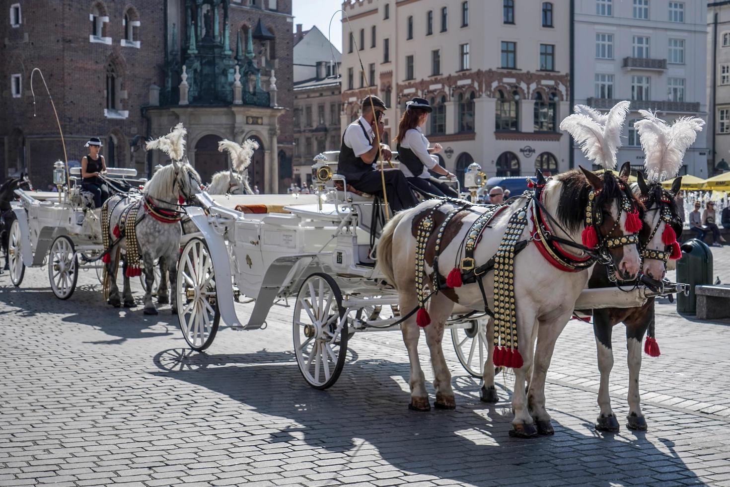 cracóvia, polônia, 2014. carruagem e cavalos foto