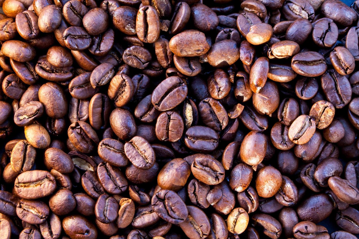 close-up de alguns grãos de café foto