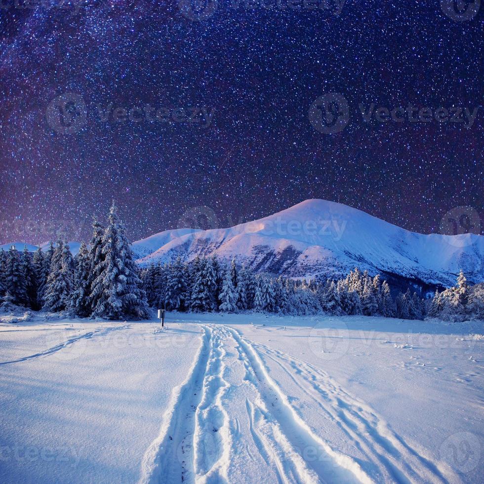 céu estrelado na noite de neve de inverno foto