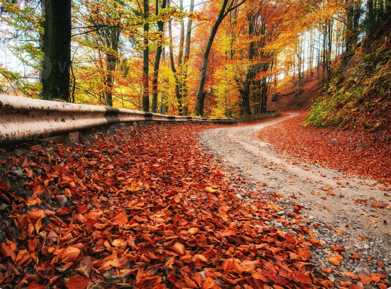 estrada na floresta de outono foto
