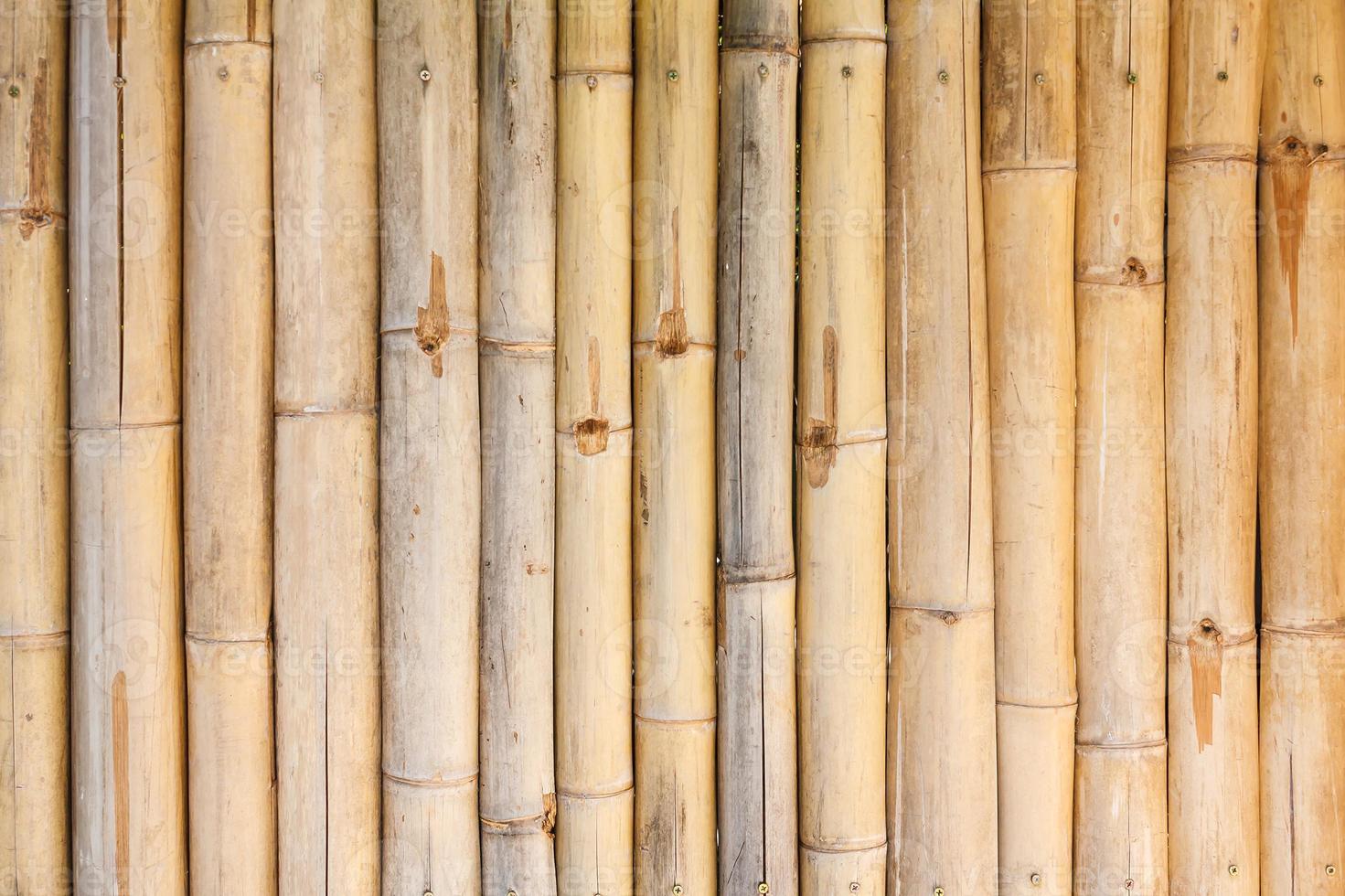 fundo de cerca de bambu foto