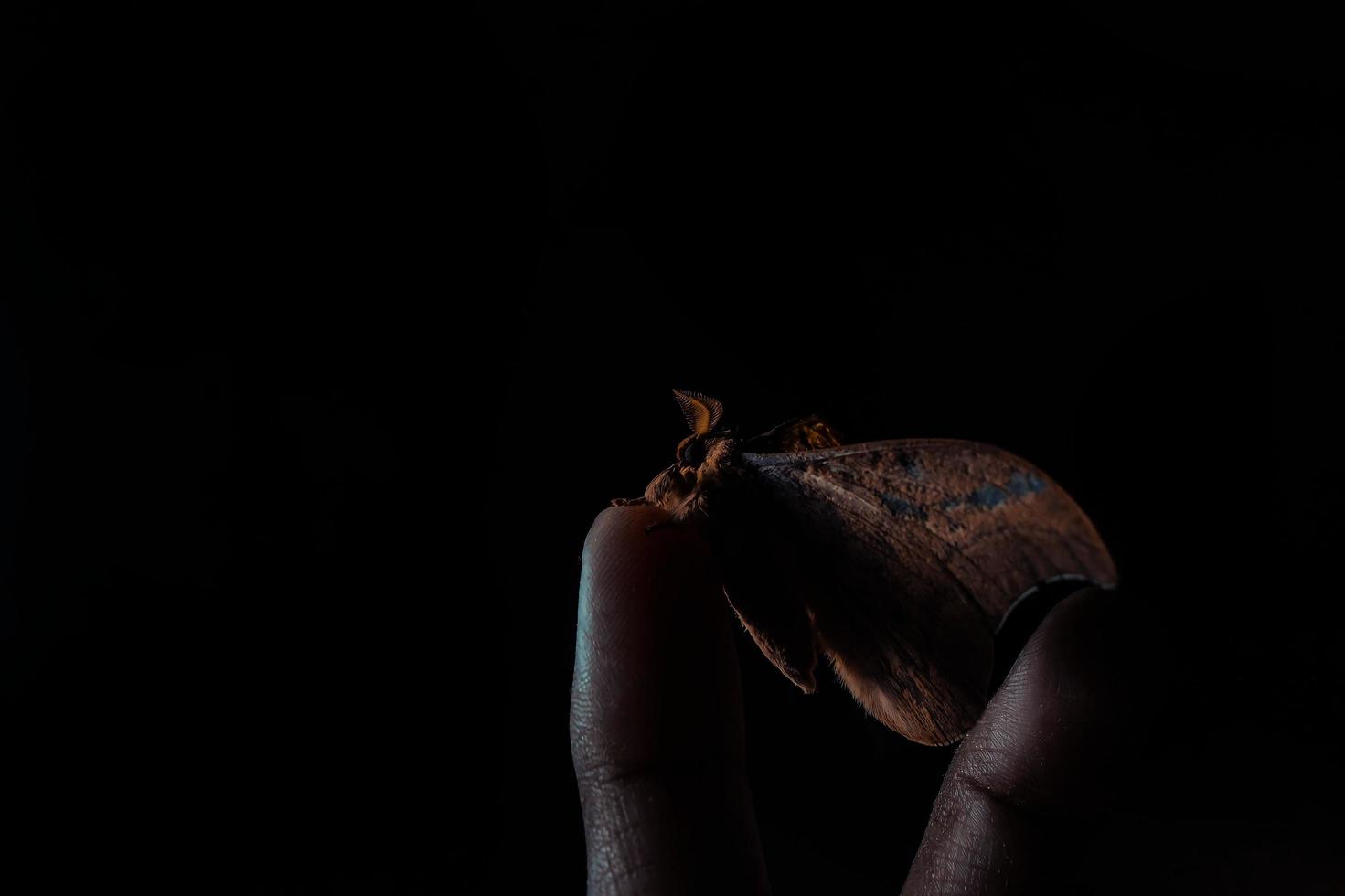 foto de uma mariposa descansando no dedo de um homem, com o conceito de uma foto discreta para que produza uma impressão forte e dramática. fundo preto e escuro.