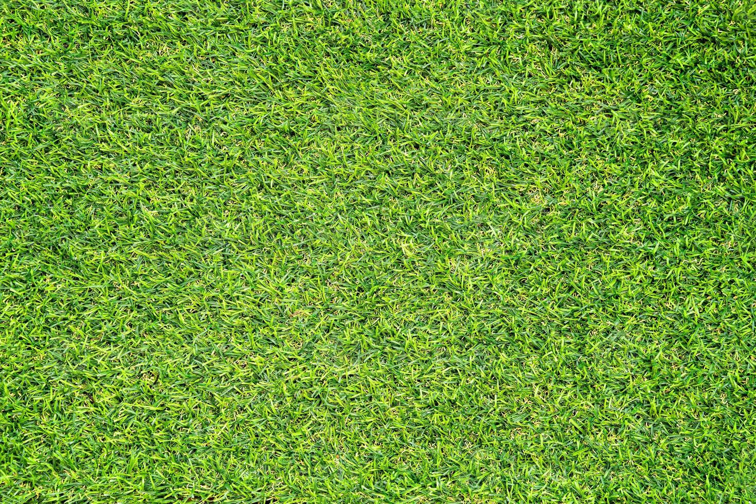 textura de grama verde para segundo plano. padrão de gramado verde e fundo de textura. foto