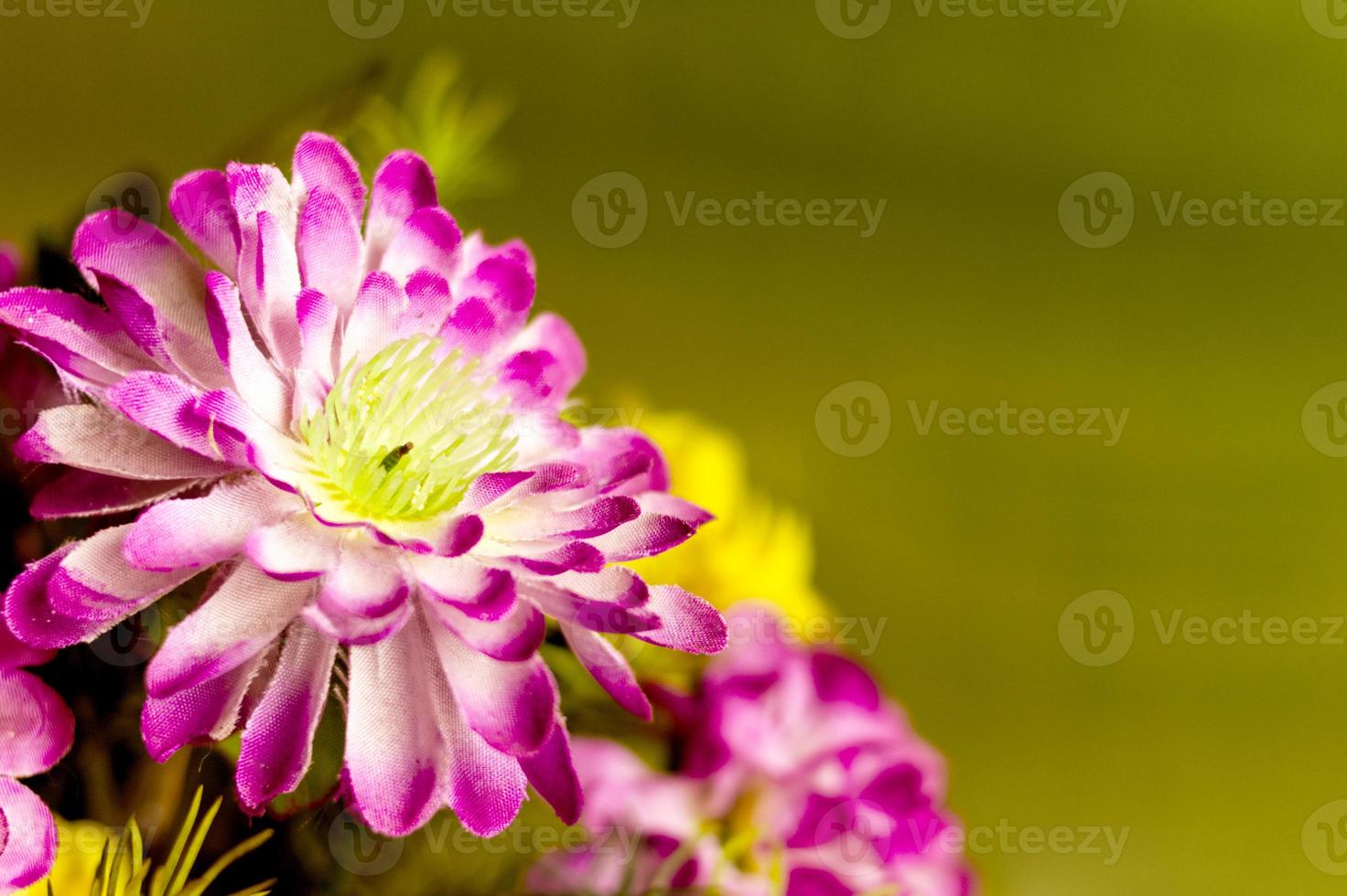 imitação de flor colorida foto