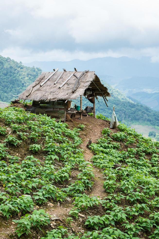 a cabana local na zona rural da tailândia. foto