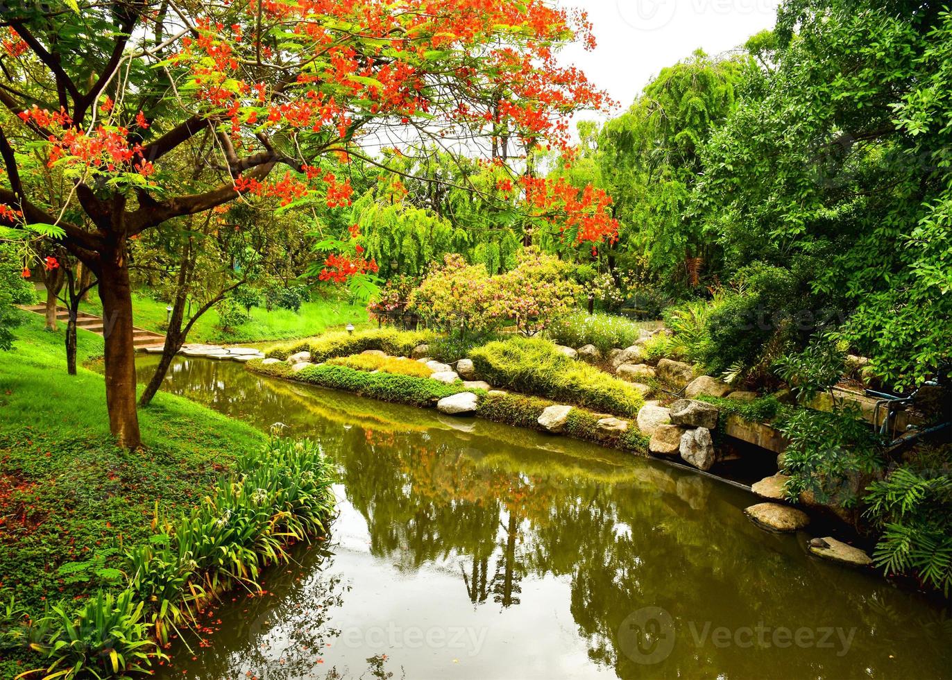 paisagem beleza natureza no parque chatuchak público bangkok tailândia jpg foto