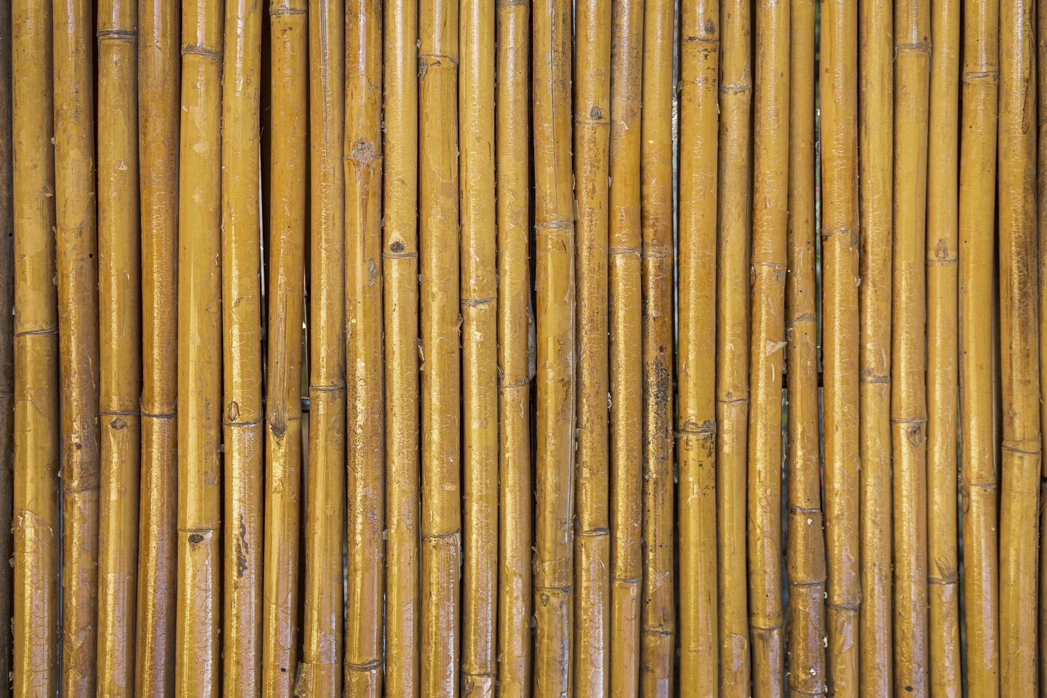 fundo de textura de madeira de bambu dourado em asiático foto