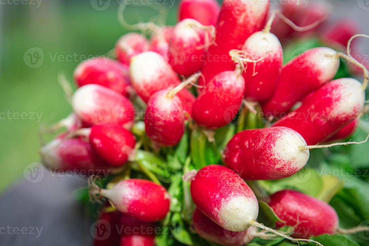 rabanete vegetais frescos alimentos orgânicos lanche ao ar livre cópia espaço comida fundo vegetariano vegano ou vegetariano foto