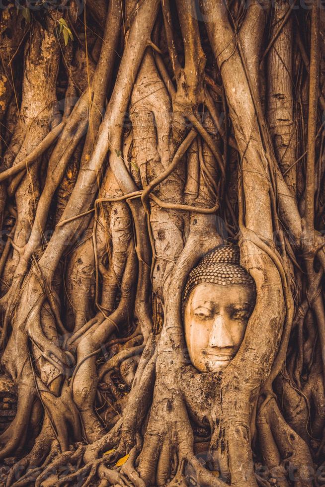 Tailândia ruínas e antiguidades no parque histórico de ayutthaya turistas de todo o mundo decadência de buda foto