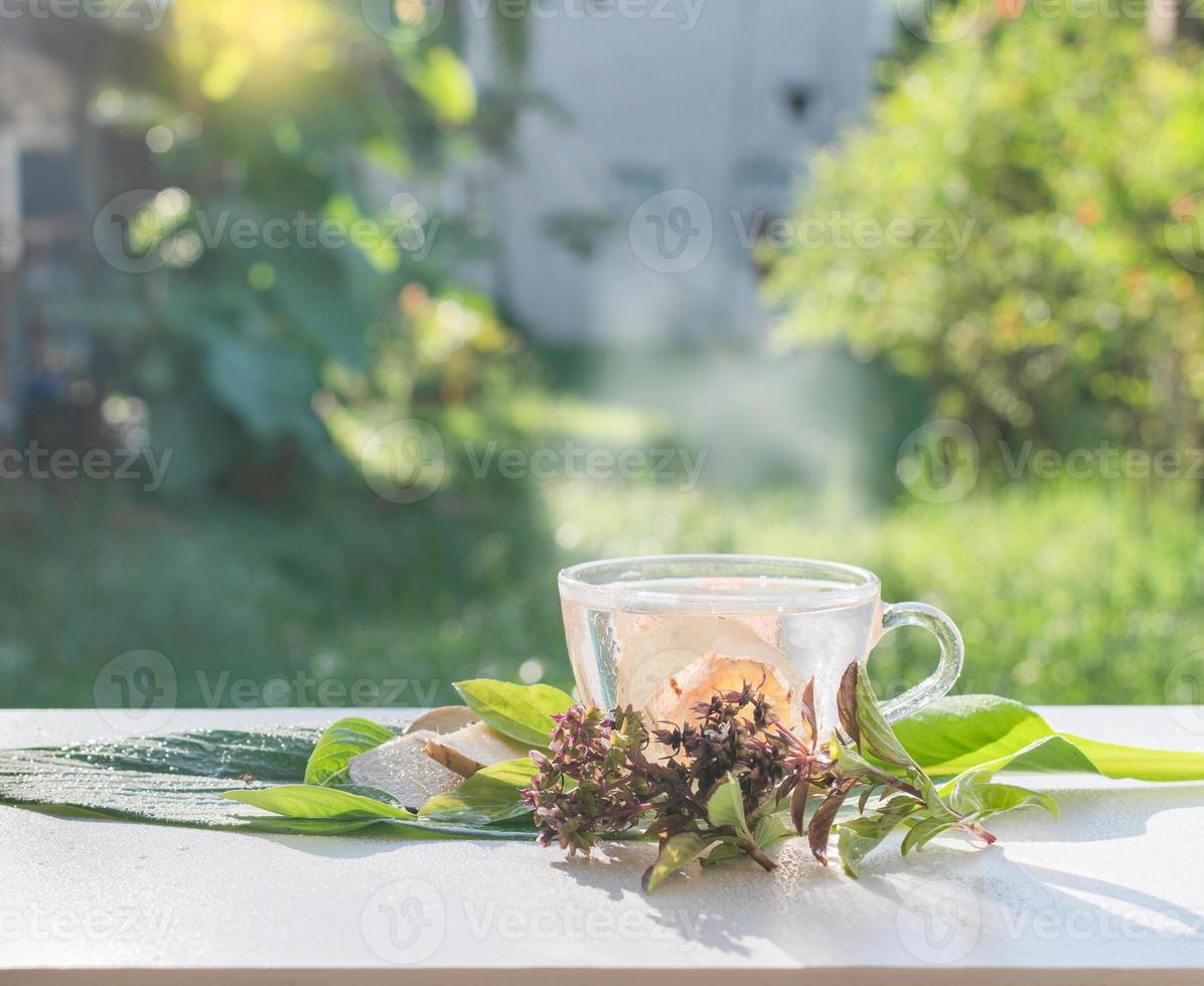 um copo de água morna e gengibre fresco cortado em pedaços finos em folhas de galanga tem gota de água. folhas de manjericão ao lado coloque-o na mesa branca. conceito beber água de gengibre para prevenir o coronavírus covid-19 foto