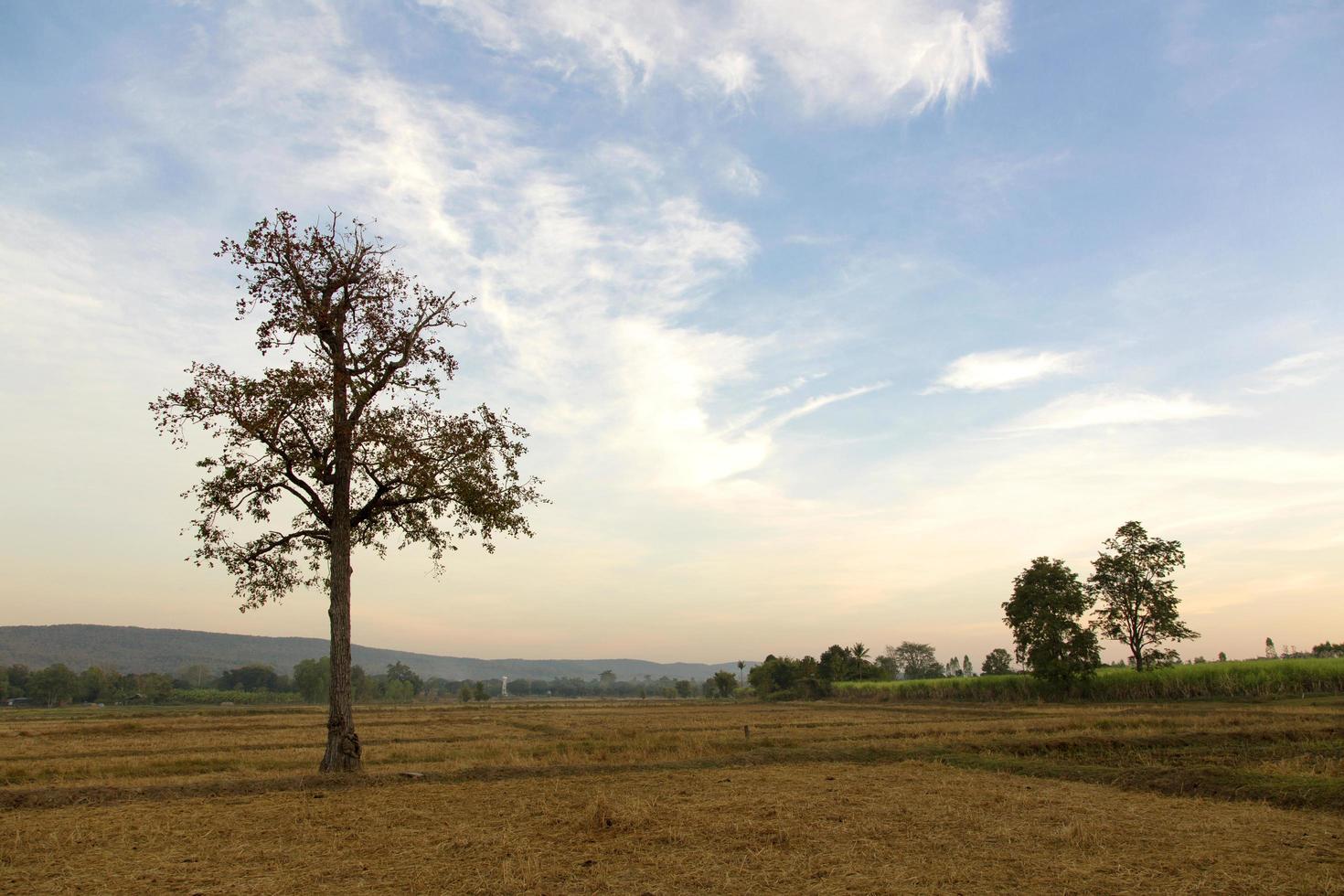 campo de paisagem rural vista no outono com céu claro foto