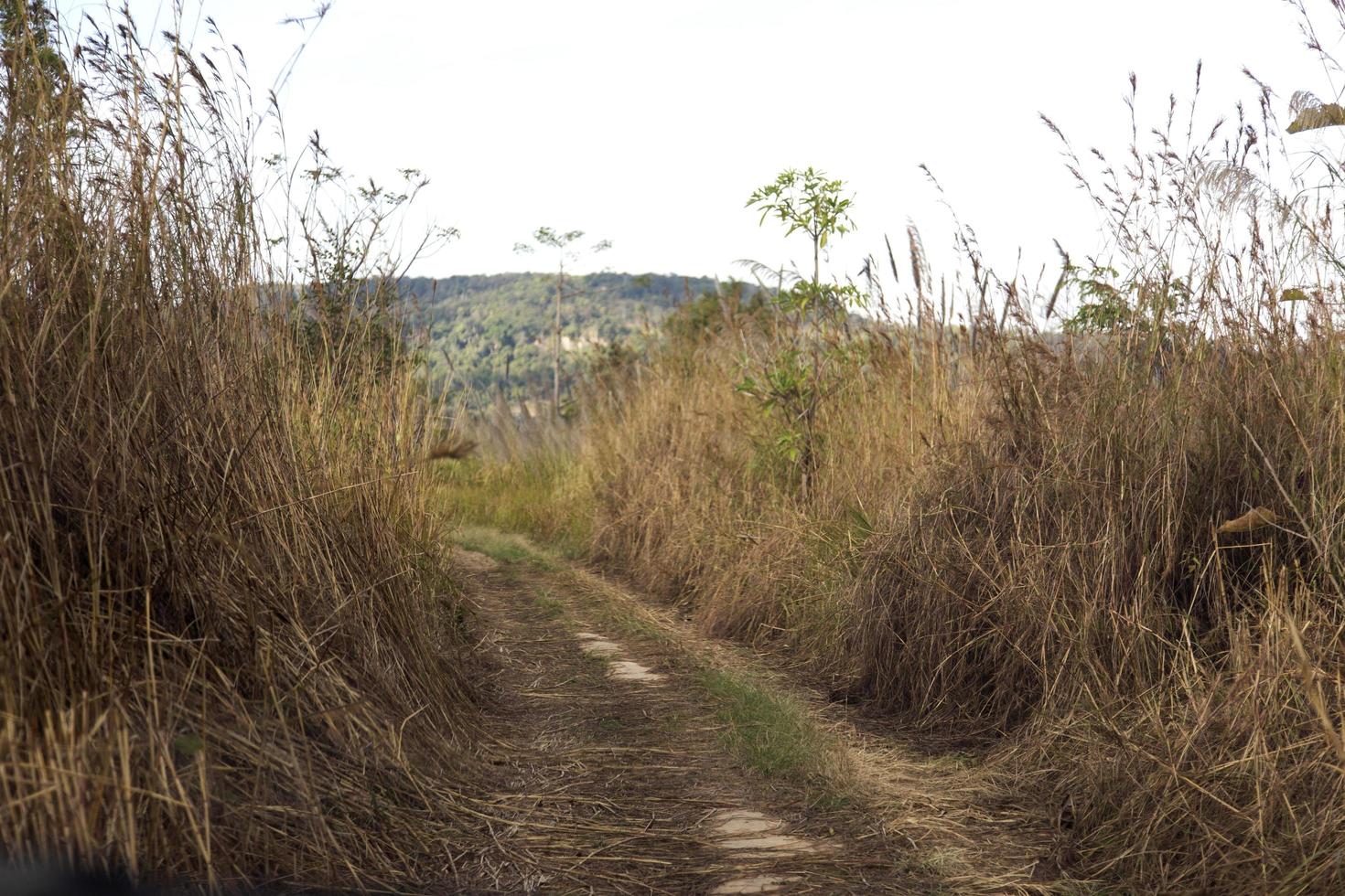 off road para viagem de montanha foto