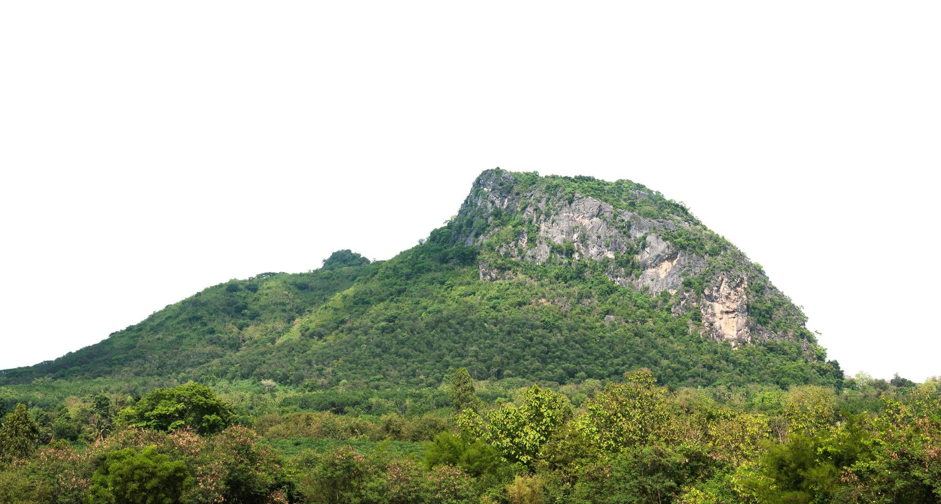 colina de montanha rochosa com floresta verde isolar no fundo branco foto