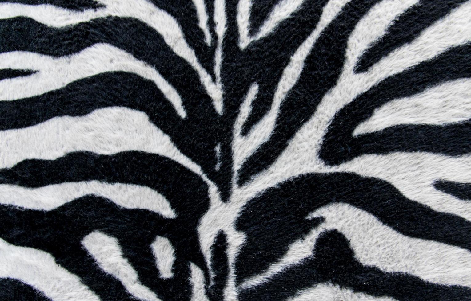 textura de tecido estampado listras zebra para plano de fundo foto